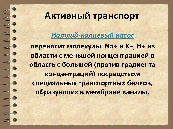   Активный транспорт  Натрий-калиевый насос переносит молекулы Na+ и K+, H+ из
