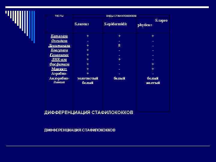   ТЕСТЫ    ВИДЫ СТАФИЛОКОККОВ      