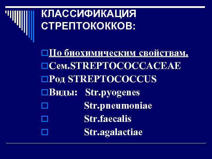 КЛАССИФИКАЦИЯ СТРЕПТОКОККОВ:  o. По биохимическим свойствам. o. Сем. STREPTOCOCCACEAE o. Род STREPTOCOCCUS o.