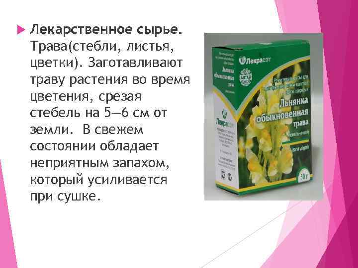   Лекарственное сырье. Трава(стебли, листья, цветки). Заготавливают траву растения во время цветения, срезая