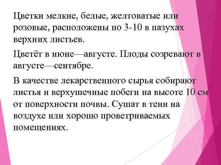 Цветки мелкие, белые, желтоватые или розовые, расположены по 3 -10 в пазухах верхних листьев.