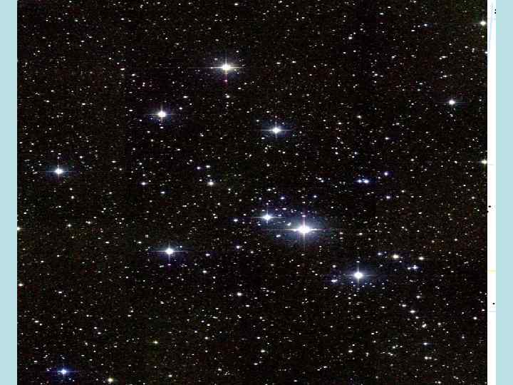 Большой Пёс 