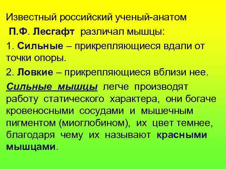 Известный российский ученый-анатом П. Ф. Лесгафт различал мышцы: 1. Сильные – прикрепляющиеся вдали от