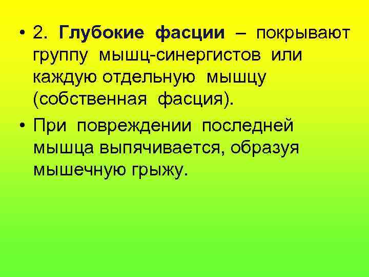  • 2. Глубокие фасции – покрывают  группу мышц-синергистов или  каждую отдельную