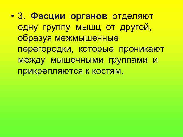  • 3. Фасции органов отделяют  одну группу мышц от другой,  образуя
