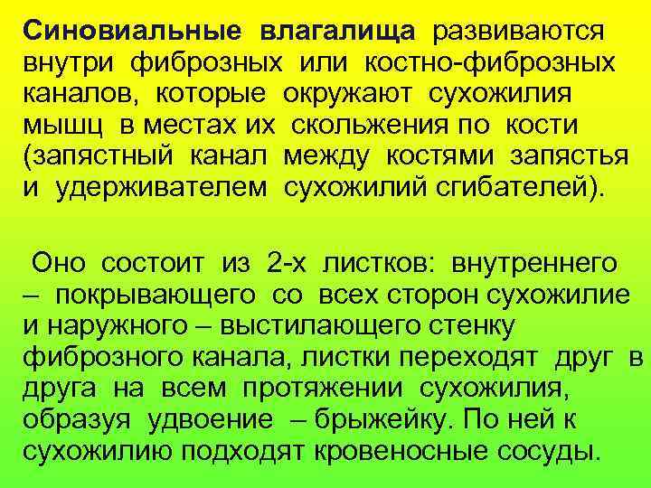 Синовиальные влагалища развиваются внутри фиброзных или костно-фиброзных каналов, которые окружают сухожилия мышц в местах