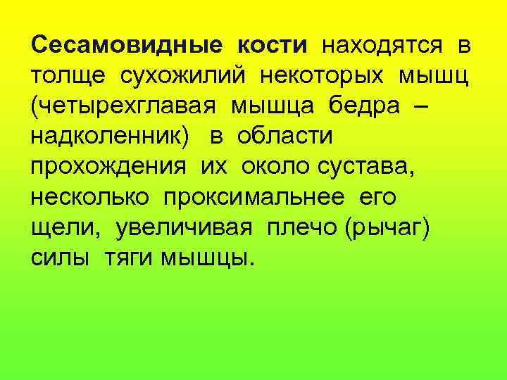 Сесамовидные кости находятся в толще сухожилий некоторых мышц (четырехглавая мышца бедра – надколенник) в