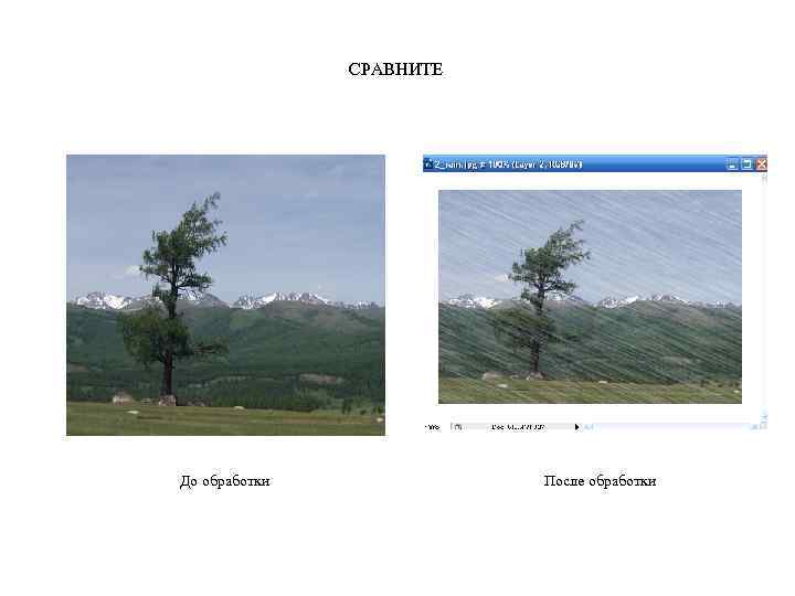     СРАВНИТЕ До обработки   После обработки 
