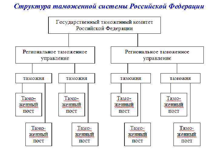 Структура таможенных органов рф схема