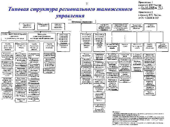 Структура таможни схема