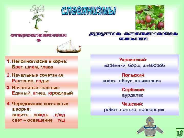 1. Неполногласие в корне: Украинский: Брег, шлем, глава вареники, борщ, хлебороб 1. Неполногласие в корне: Украинский: Брег, шлем, глава вареники, борщ, хлебороб
