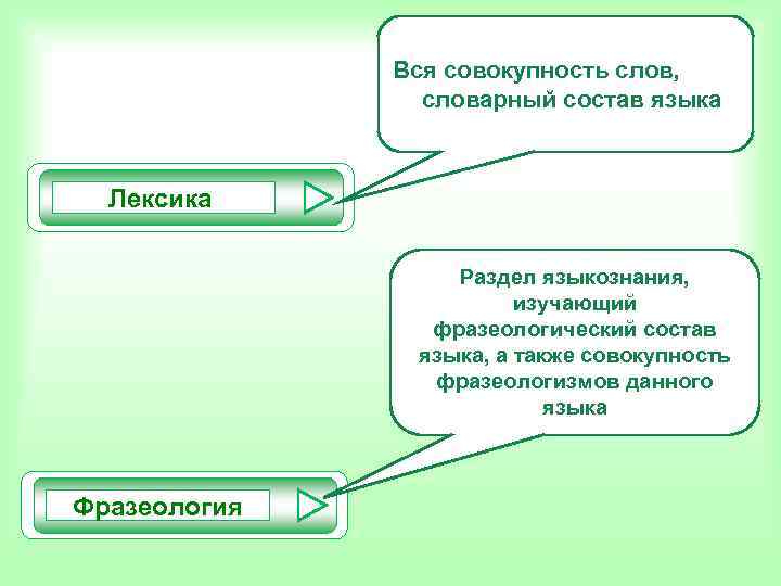 Вся совокупность слов, словарный состав языка Лексика Вся совокупность слов, словарный состав языка Лексика
