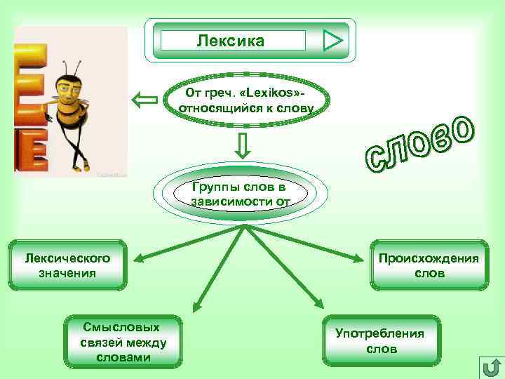 Лексика От греч. «Lexikos» - Лексика От греч. «Lexikos» -