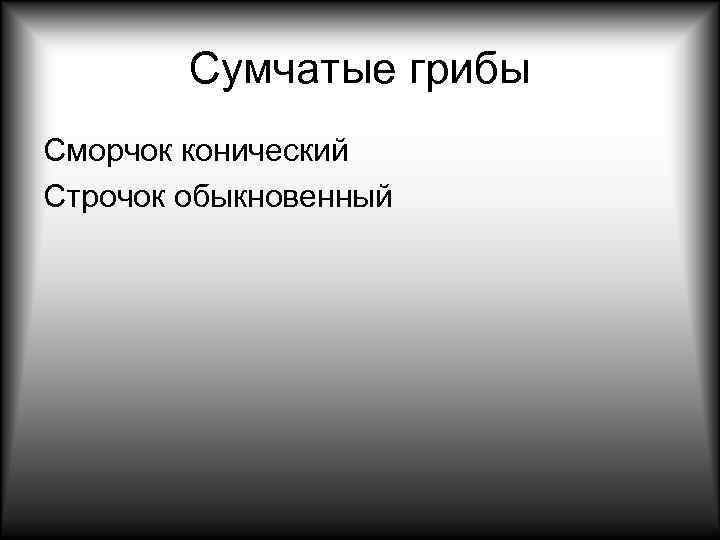   Сумчатые грибы Сморчок конический Строчок обыкновенный 