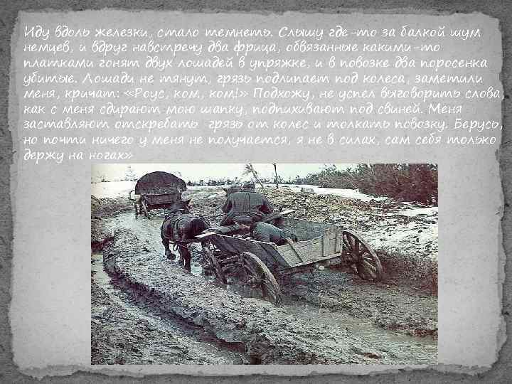 Иду вдоль железки, стало темнеть. Слышу где-то за балкой шум немцев, и вдруг навстречу