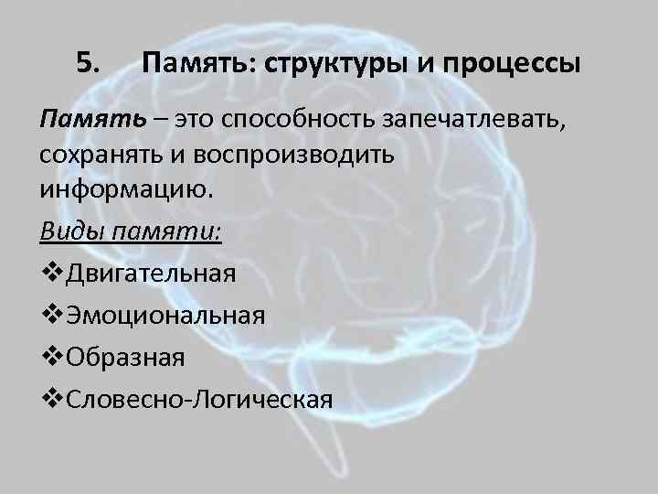  5.  Память: структуры и процессы Память – это способность запечатлевать,  сохранять