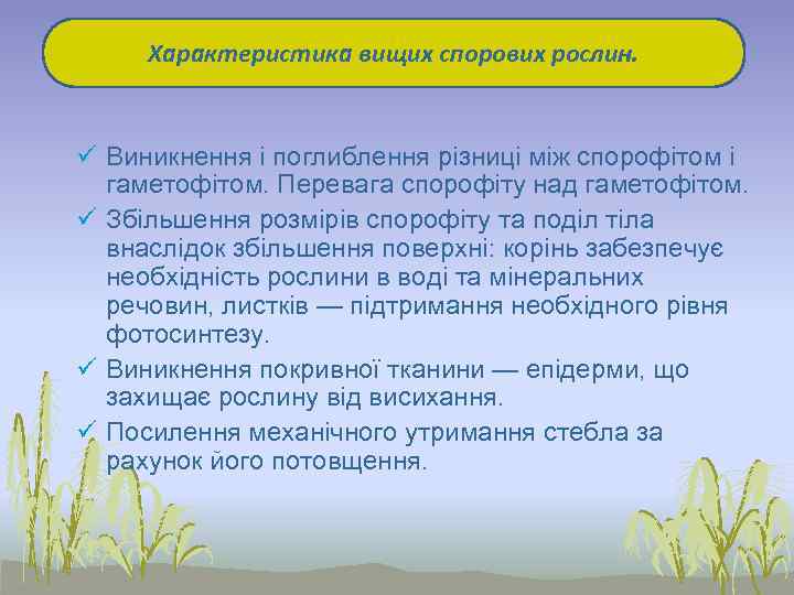  Характеристика вищих спорових рослин. ü Виникнення і поглиблення різниці між спорофітом і 
