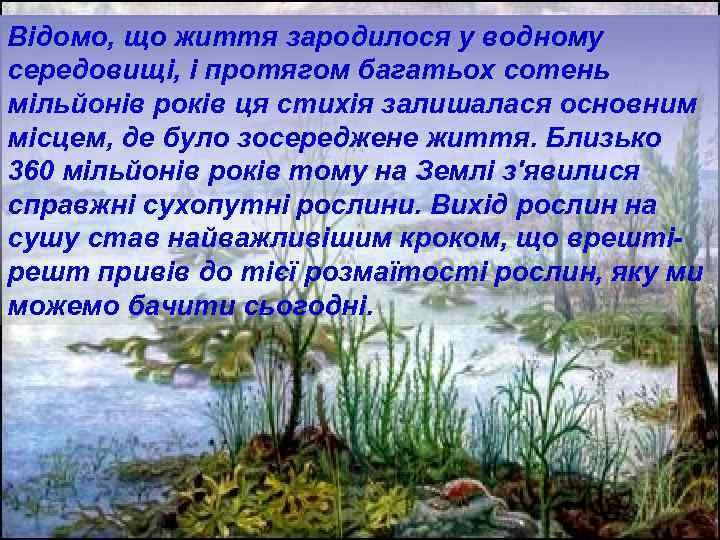Відомо, що життя зародилося у водному середовищі, і протягом багатьох сотень мільйонів років ця