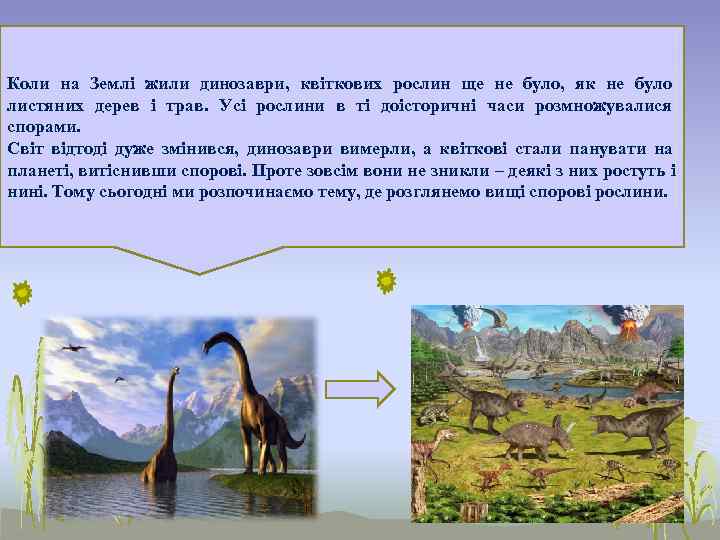 Коли на Землі жили динозаври, квіткових рослин ще не було, як не було листяних