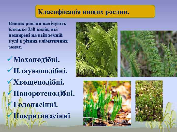   Класифікація вищих рослин. Вищих рослин налічують близько 350 видів, які поширені на