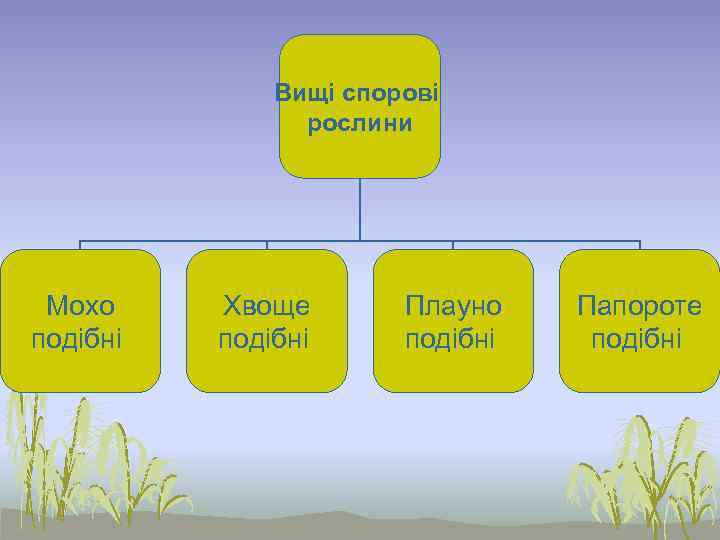     Вищі спорові   рослини Мохо Хвоще  Плауно Папороте