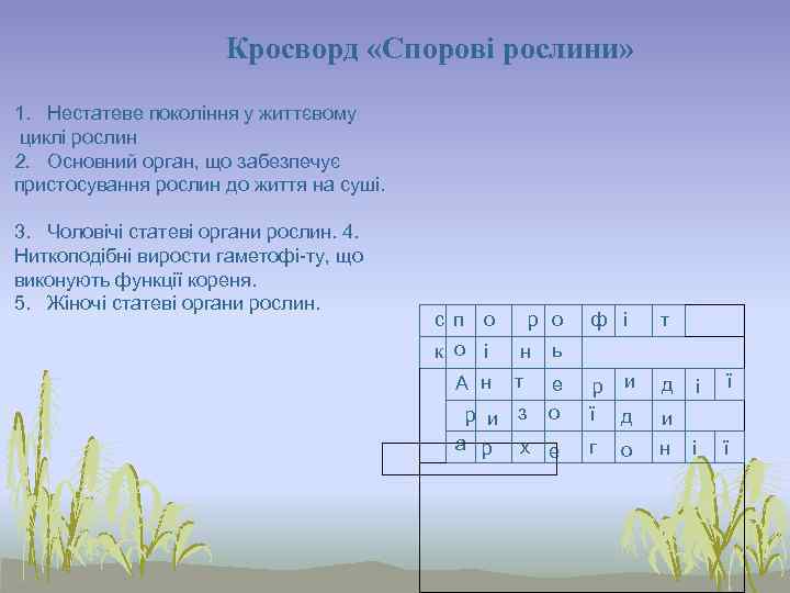     Кросворд «Спорові рослини»  1.  Нестатеве покоління у життєвому