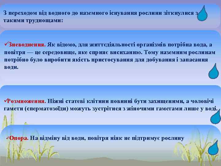 З переходом від водного до наземного існування рослини зіткнулися з такими труднощами:  üЗневоднення.