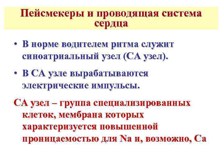  Пейсмекеры и проводящая система   сердца • В норме водителем ритма служит