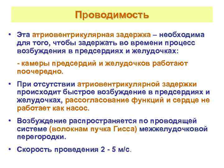    Проводимость • Эта атриовентрикулярная задержка – необходима  для того, чтобы