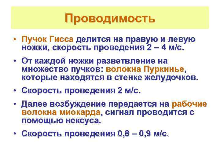   Проводимость • Пучок Гисса делится на правую и левую  ножки, скорость