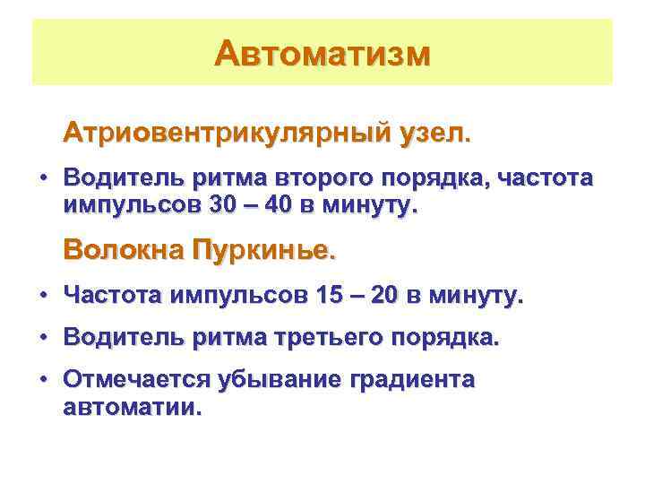    Автоматизм  Атриовентрикулярный узел.  • Водитель ритма второго порядка, частота