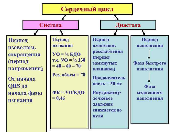   Сердечный цикл  Систола    Диастола Период  