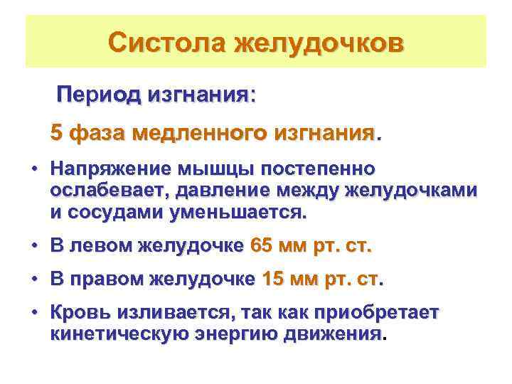   Систола желудочков  Период изгнания:  5 фаза медленного изгнания.  •