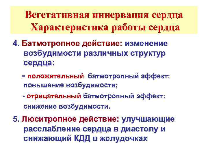  Вегетативная иннервация сердца  Характеристика работы сердца 4. Батмотропное действие: изменение  возбудимости