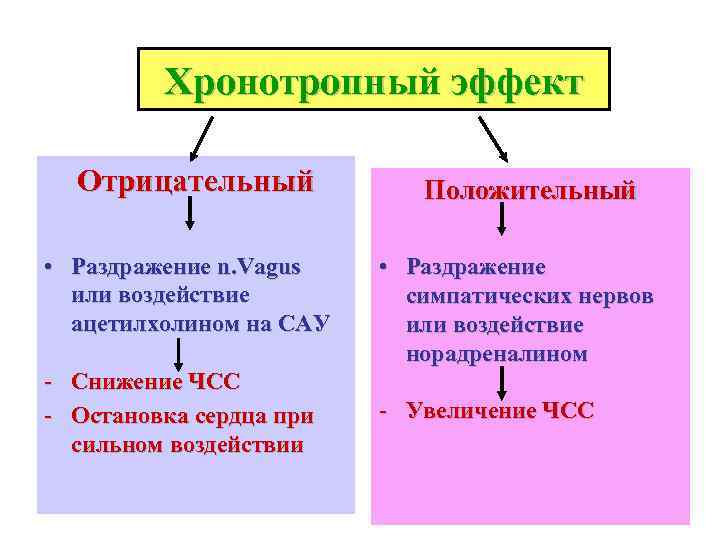    Хронотропный эффект  Отрицательный   Положительный  • Раздражение n.