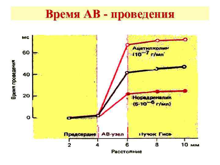 Время АВ - проведения 