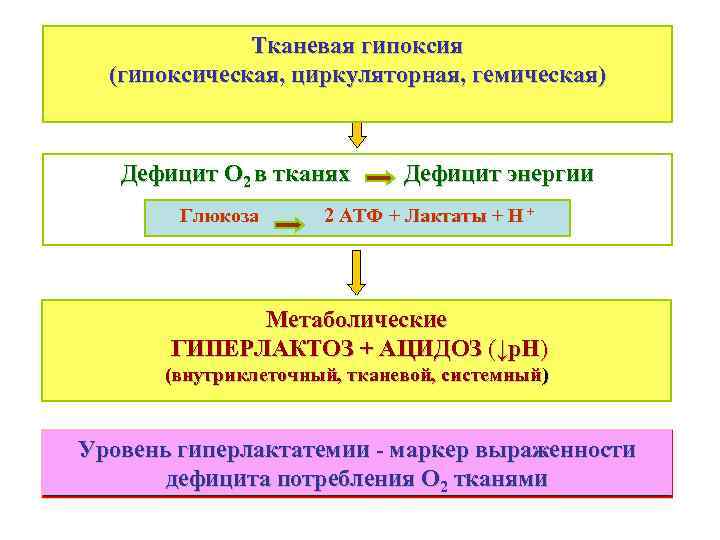    Тканевая гипоксия  (гипоксическая, циркуляторная, гемическая)  Дефицит O 2 в