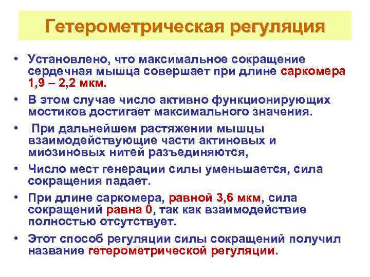   Гетерометрическая регуляция • Установлено, что максимальное сокращение  сердечная мышца совершает при