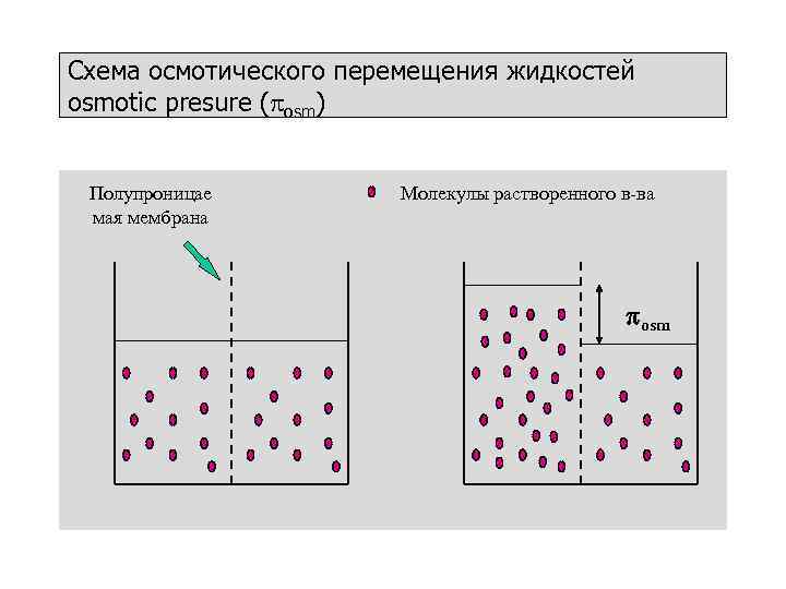 Схема осмотического перемещения жидкостей osmotic presure (posm)  Полупроницае  Молекулы растворенного в-ва мая