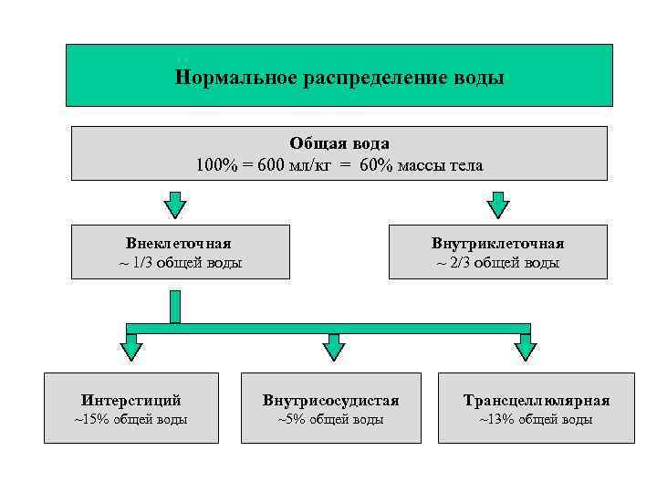    Нормальное распределение воды      Общая вода 
