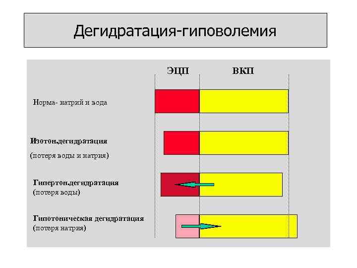     Дегидратация-гиповолемия     ЭЦП    ВКП