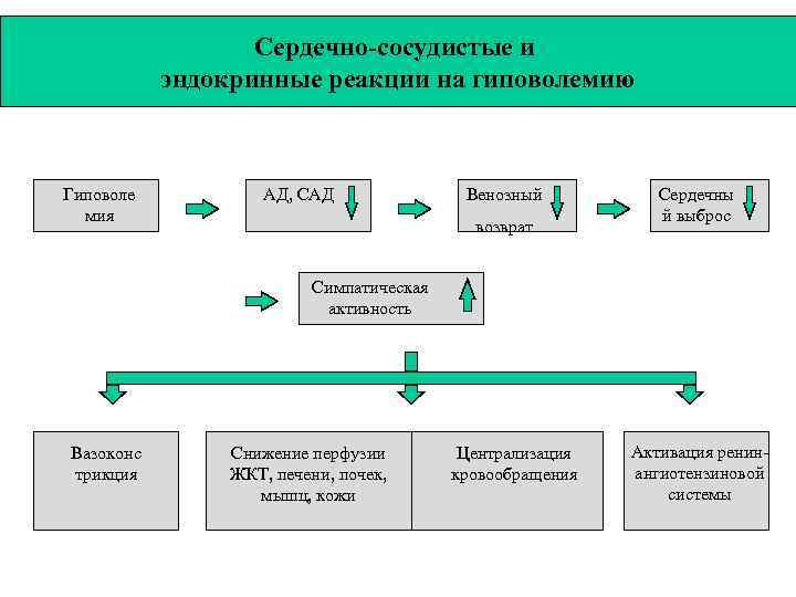    Сердечно-сосудистые и   эндокринные реакции на гиповолемию  Гиповоле 