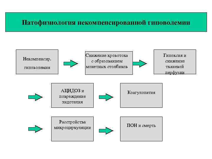 Патофизиология некомпенсированной гиповолемии      Снижение кровотока    Гипоксия