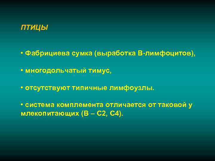 ПТИЦЫ  • Фабрициева сумка (выработка В-лимфоцитов),  • многодольчатый тимус,  • отсутствуют