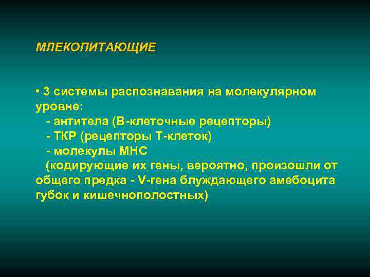 МЛЕКОПИТАЮЩИЕ  • 3 системы распознавания на молекулярном уровне:  - антитела (В-клеточные рецепторы)