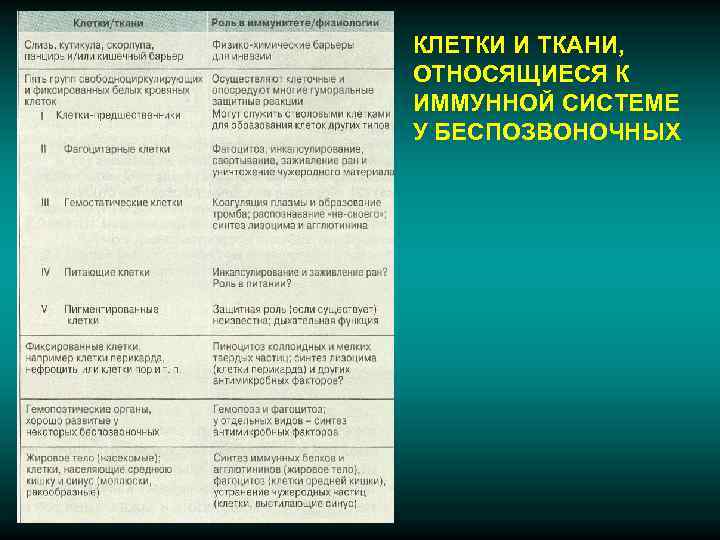 Эволюция иммунитета презентация