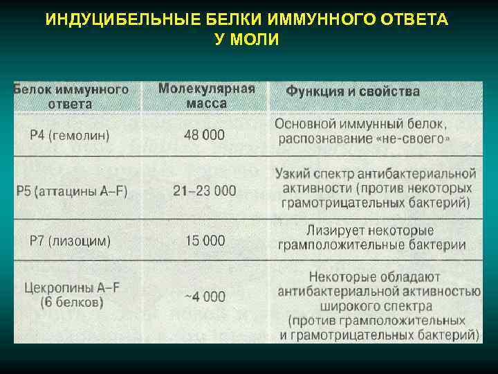 ИНДУЦИБЕЛЬНЫЕ БЕЛКИ ИММУННОГО ОТВЕТА    У МОЛИ 