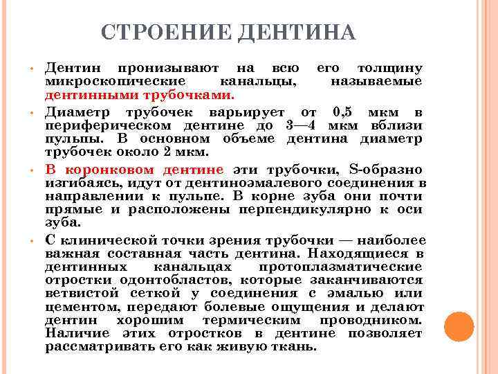    СТРОЕНИЕ ДЕНТИНА •  Дентин пронизывают на всю его толщину микроскопические