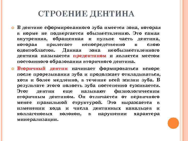   СТРОЕНИЕ ДЕНТИНА В дентине сформированного зуба имеется зона, которая в норме не