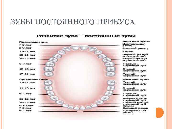 Составление плана обследования и лечения при заболеваниях твердых тканей зуба